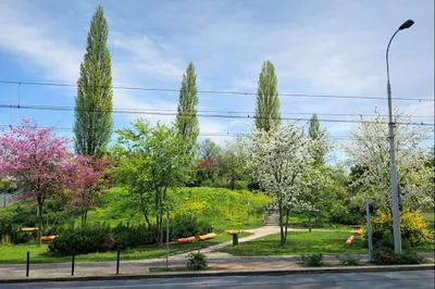 Iżykowska Alicja. Kancelaria prawno - patentowa